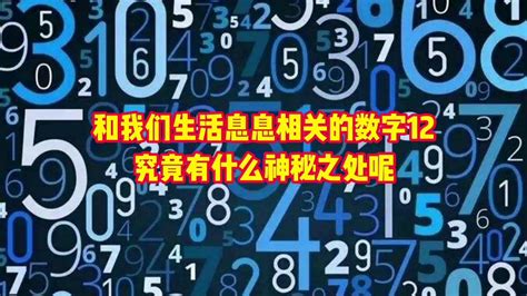 7代表什么意思|7（自然数之一）